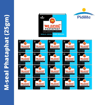 Pidilite M-Seal Phata Phat - 25gm